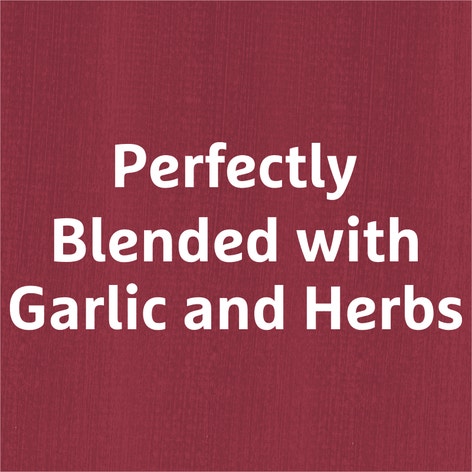 MasterFoods Professional Garlic and Herb Seasoning Jar 700g