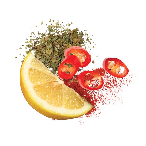 MasterFoods Professional Portuguese Chicken Seasoning Jar 730g