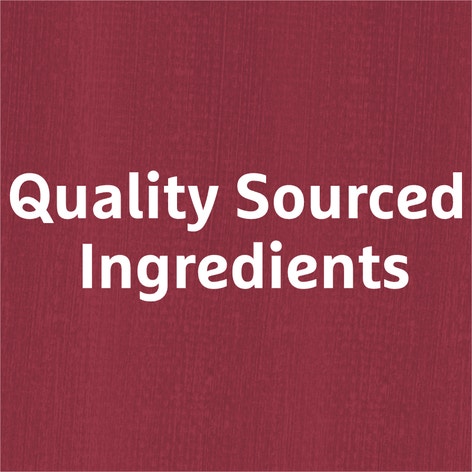 MasterFoods Professional Garlic Granules 680g