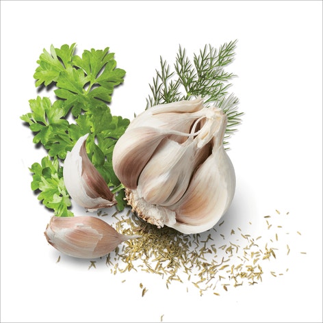 MasterFoods Professional Garlic and Herb Seasoning Jar 700g