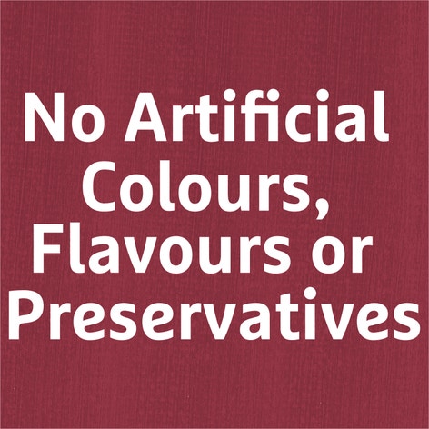 MasterFoods Professional Mexican Chilli Seasoning Jar 505g