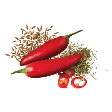 MasterFoods Professional Mexican Chilli Seasoning Jar 505g