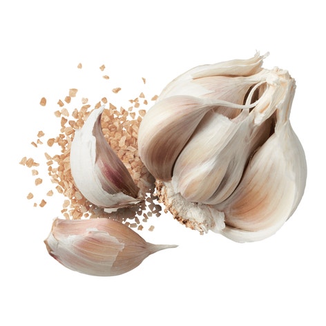 MasterFoods Professional Garlic Granules 680g